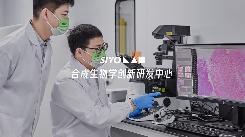 癌症风险基因检测怎么做：精准预防，守护健康