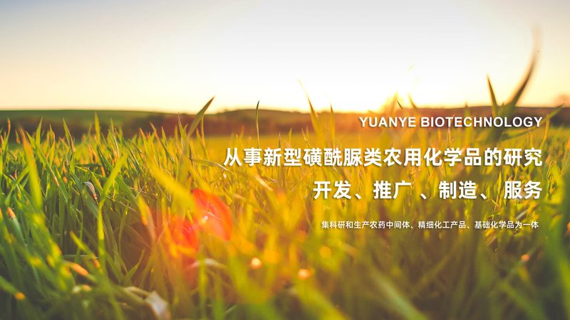 细胞工厂代理合同模板：关键要素与签订须知**