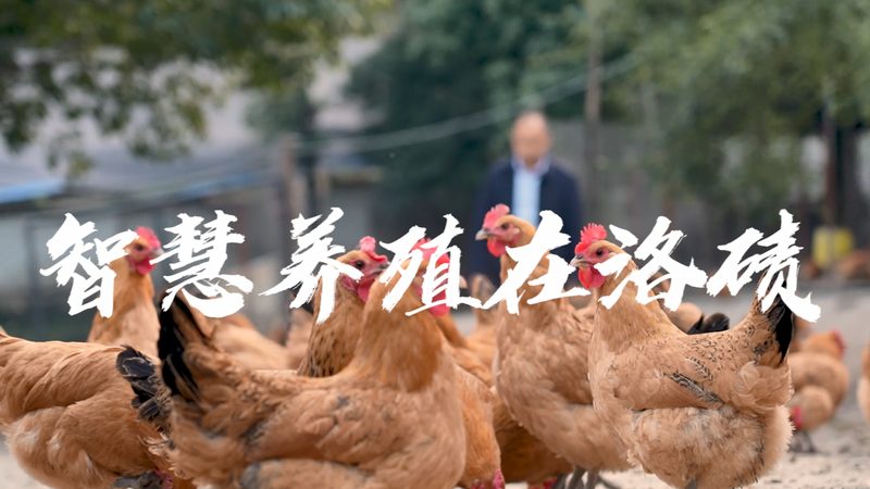 离心管报价单定制