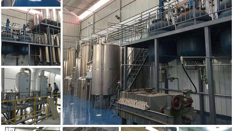 重组抗体表达细胞选择：关键因素与考量要点**