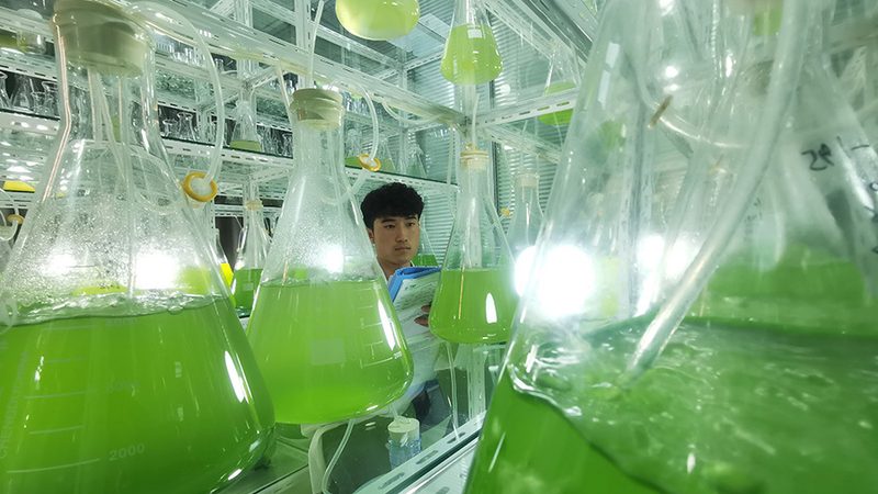 创新药CDMO：揭秘制药企业的“隐形翅膀